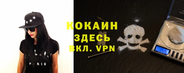 тгк Алзамай