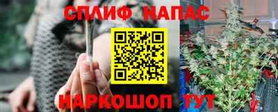молекула духа Гусев