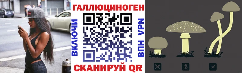 Псилоцибиновые грибы Magic Shrooms  гидра ссылки  Мичуринск 