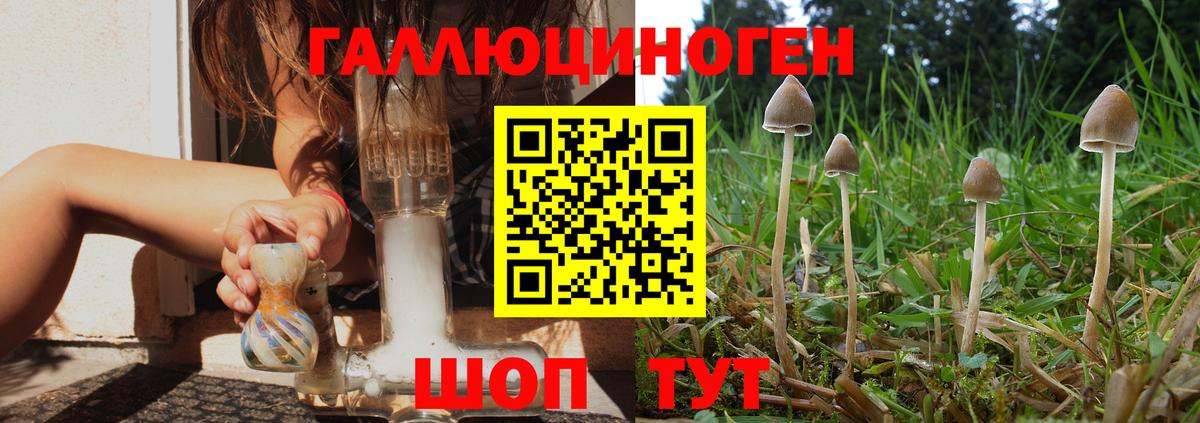 Псилоцибиновые грибы Psilocybe  магазин продажи наркотиков  Мичуринск  Вход с VPN 