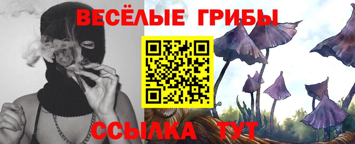 Галлюциногенные грибы Cubensis Мичуринск