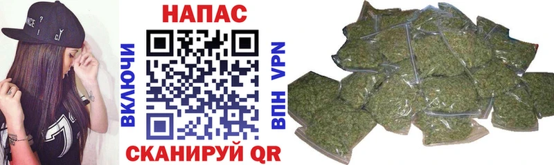 что такое наркотик Мичуринск Каннабис сатива